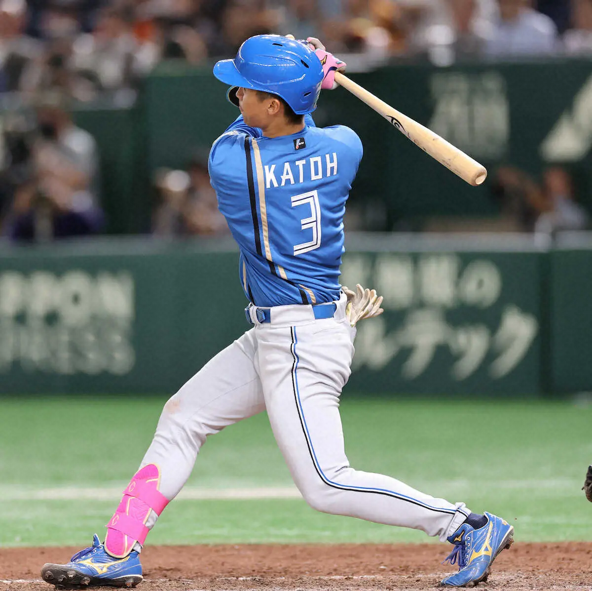 【画像・写真】【田淵幸一氏　視点】加藤豪は今の新庄日本ハムにうってつけの3番打者