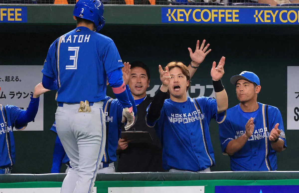 【画像・写真】日本ハム・伊藤大海は7回1失点と好投　グリフィンと堂々の投手戦も3勝目はお預け