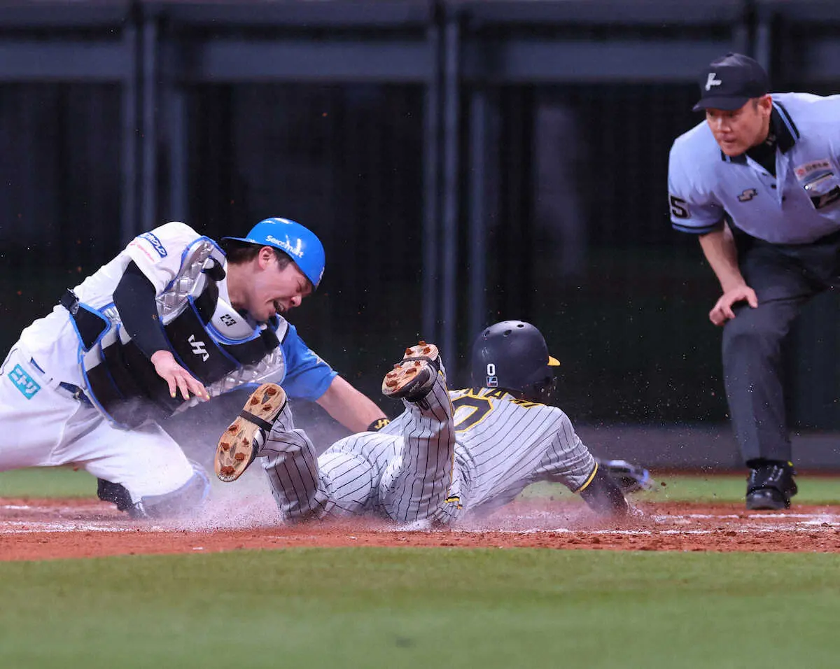 【画像・写真】チームの危機救った!日本ハム・万波　鮮やかレーザービームに称賛の嵐「流れを変えた」「影のMVP」