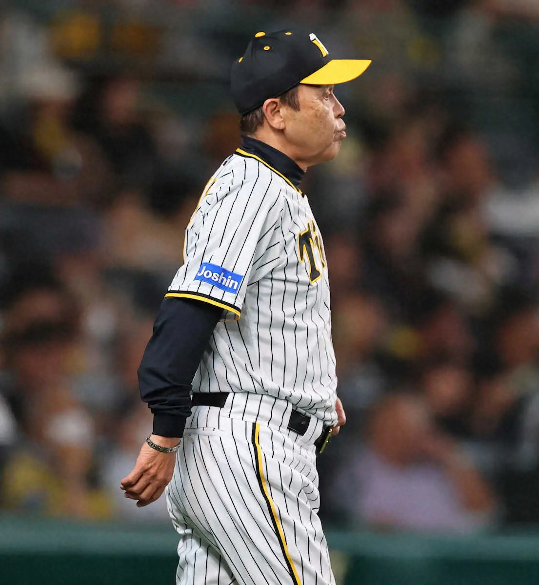 【画像・写真】阪神・岡田監督　株主総会での賞賛に「知らんやん。株主ちゃうし、株持ってないし」
