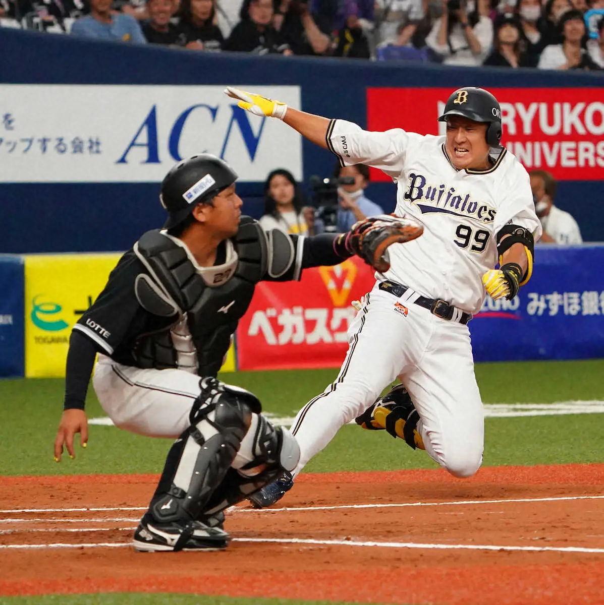 【画像・写真】体重104キロ激走　オリックス杉本がランニング弾で息切れ昇天!?「次は柵の向こうに打てるように」