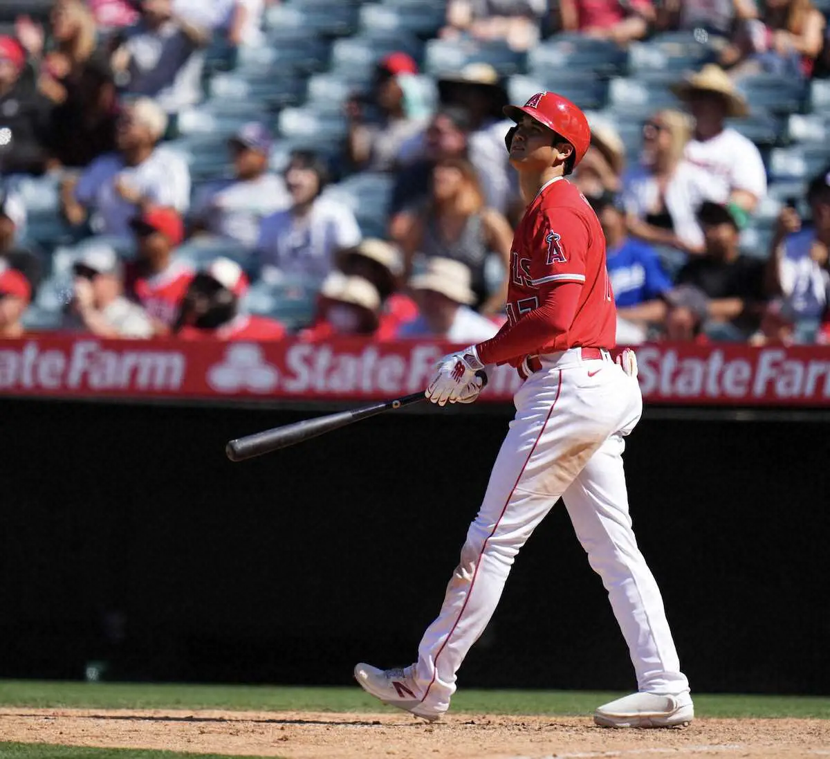【画像・写真】エンゼルス・大谷　月間14発目の29号　日本選手＆球団最多