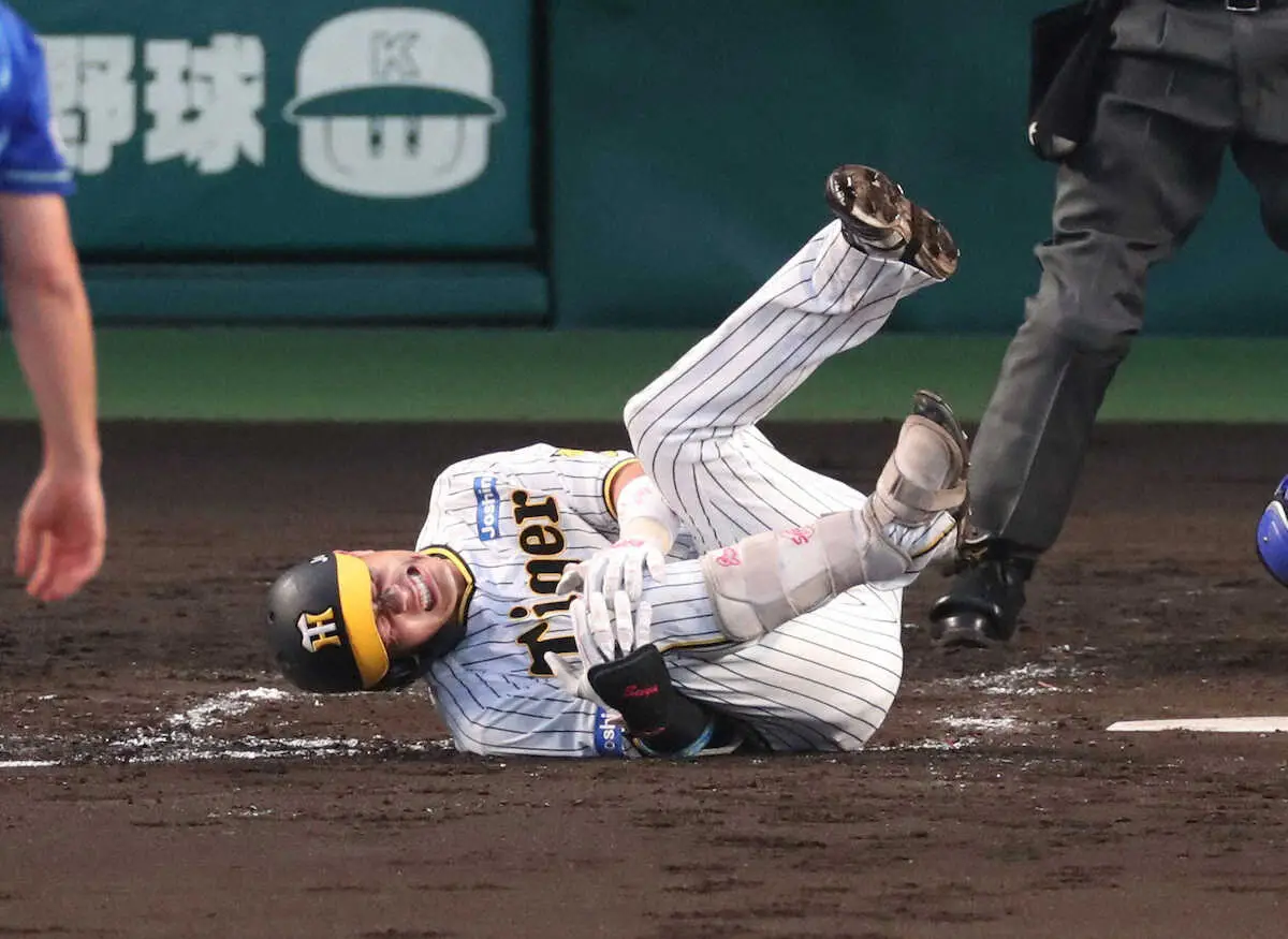 【画像・写真】阪神・木浪　自打球が右膝付近に直撃　痛みに顔ゆがめそのまま倒れ込むも復帰