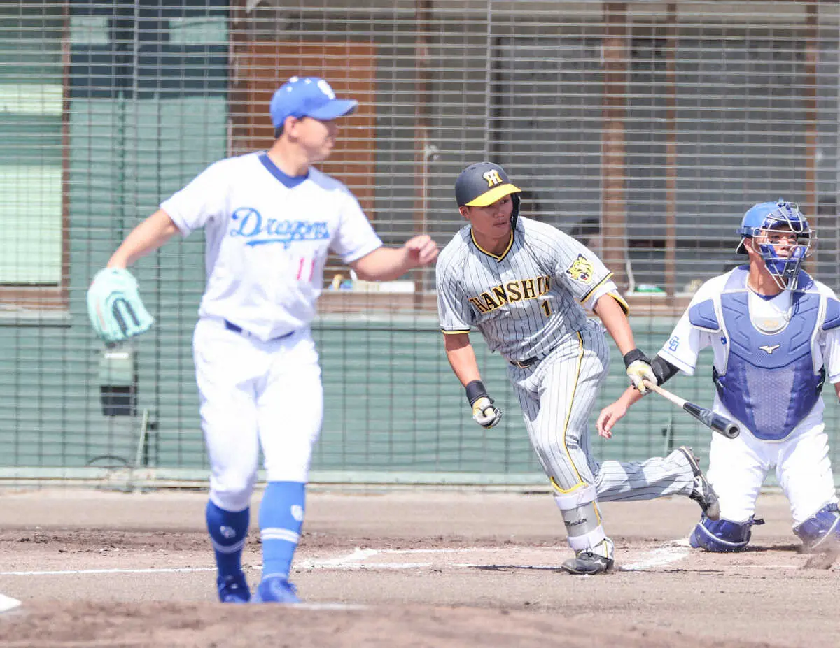 【画像・写真】阪神・森下　東海大相模の先輩撃ち誓う　中日・小笠原から「打って、チームも勝ちたい」
