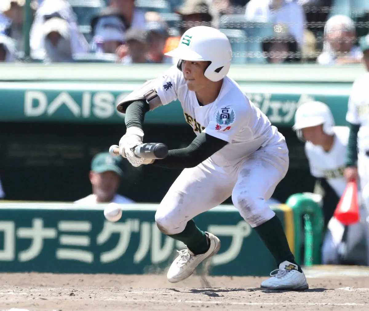 【画像・写真】逆転勝利を呼んだ専大松戸のチャンテ「エル・ティグレ」の魔曲ぶりが話題「勇ましい」「魔曲化してる」