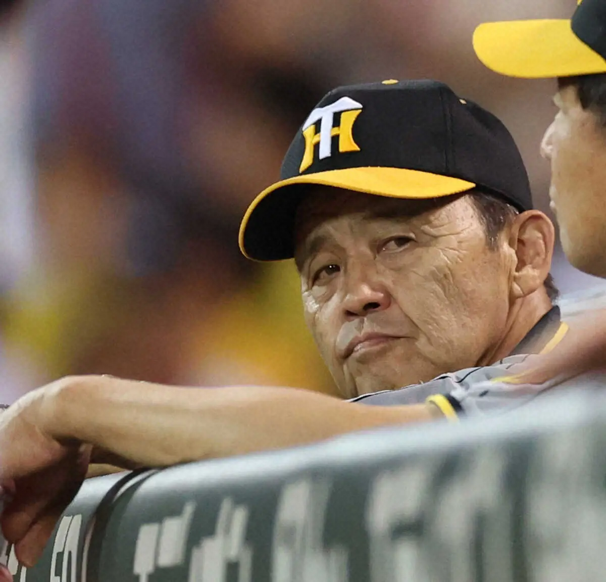 【画像・写真】マジック点灯中の阪神が広島に完敗でカード負け越し　7回1死満塁の好機いかせず