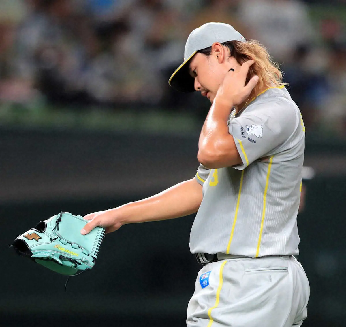 【画像・写真】長い髪の西武右腕のドロンと落ちる変化球が左翼席に消えたんです…ソフトB甲斐9号　怖い“残暑の甲斐弾”