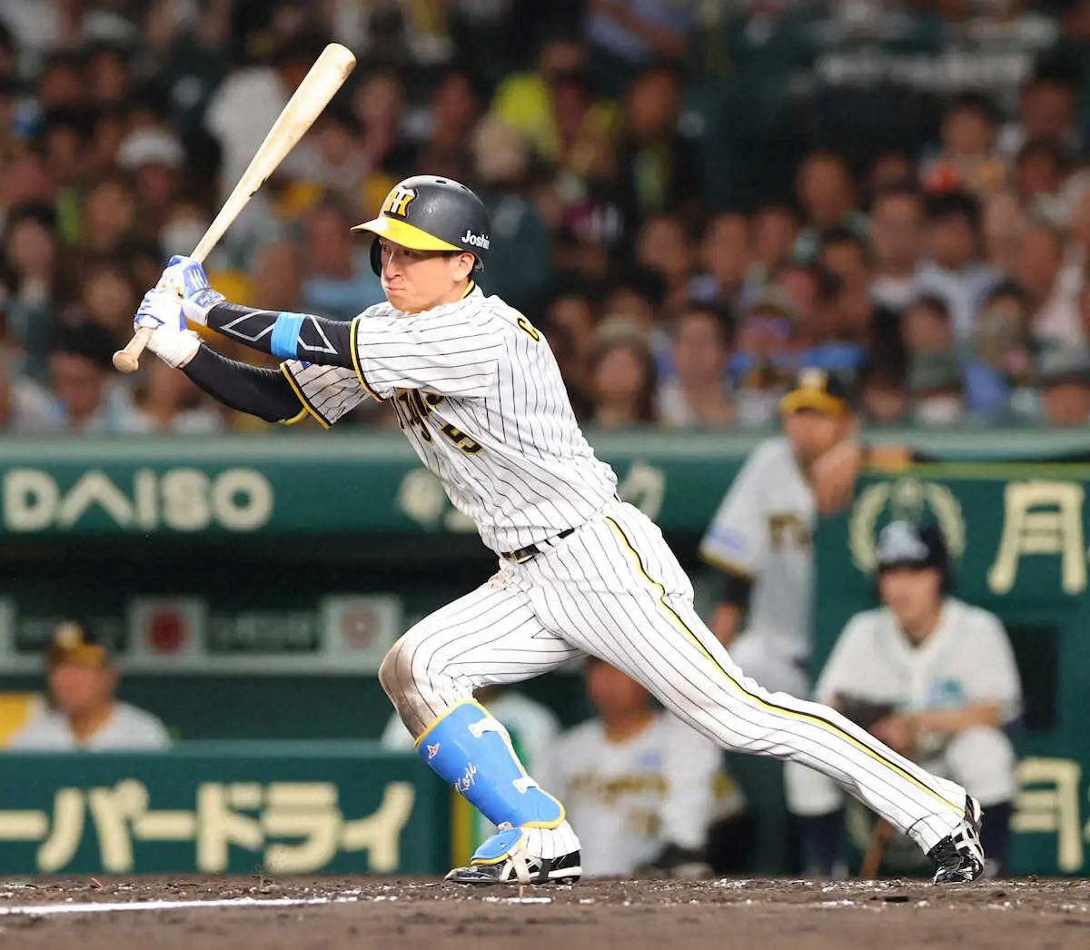 【画像・写真】阪神・近本3回までに2安打でミスターに並んだ！入団5年目以内の安打数763本、歴代1位の長野に4本差