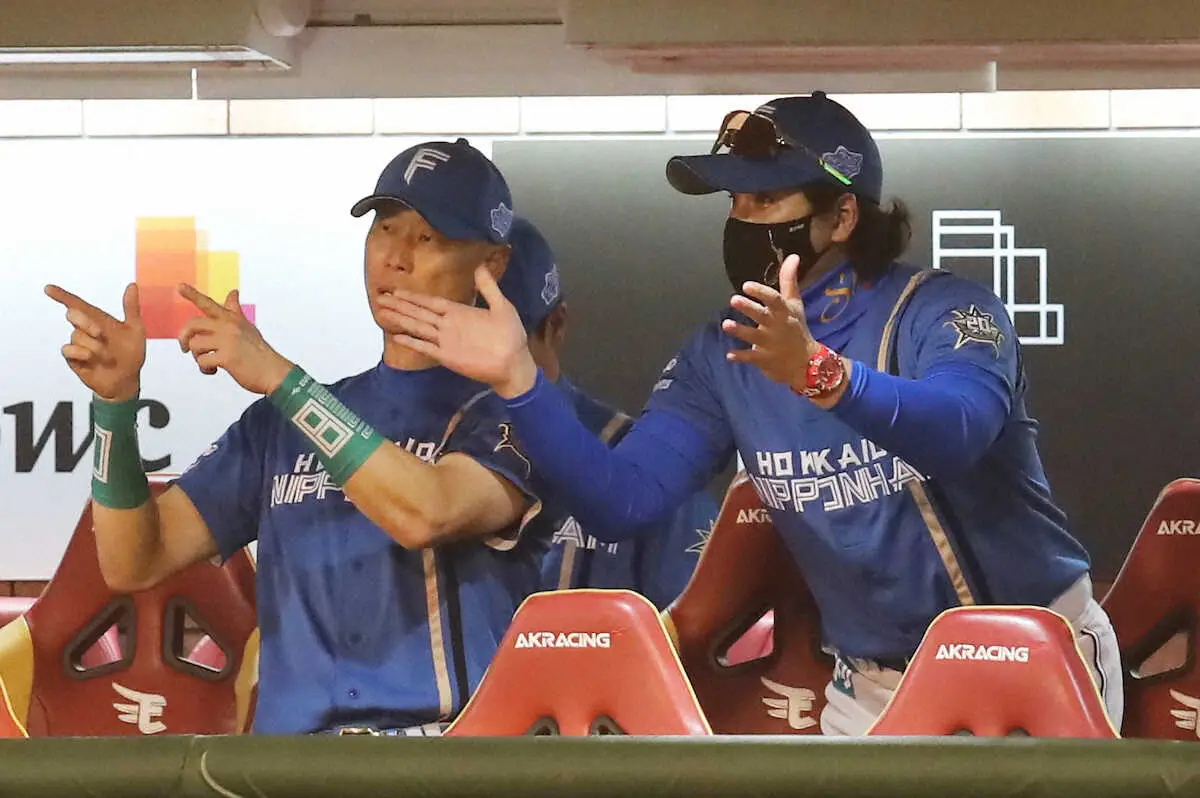 【画像・写真】日本ハム　連敗3で止めた　ドラ2ルーキー金村が166日ぶりプロ2勝目　中島が史上79人目200盗塁