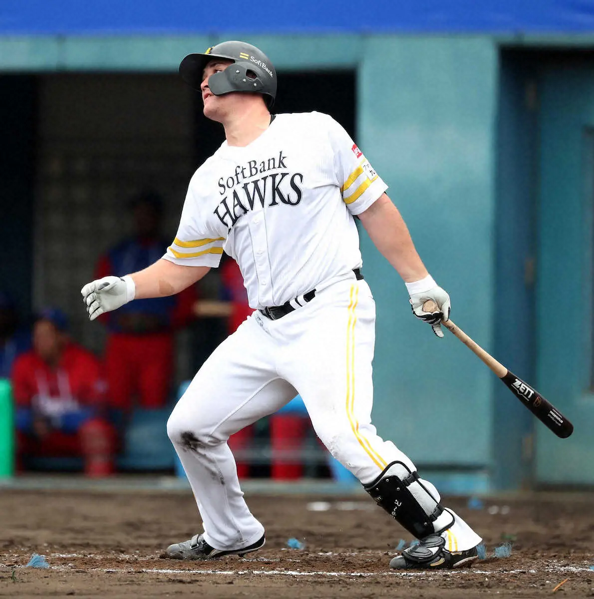 【画像・写真】【ファーム情報】ウエスタン全日程終了　ソフトB・リチャードが本塁打＆打点の2冠　オリ育成の佐藤最多勝