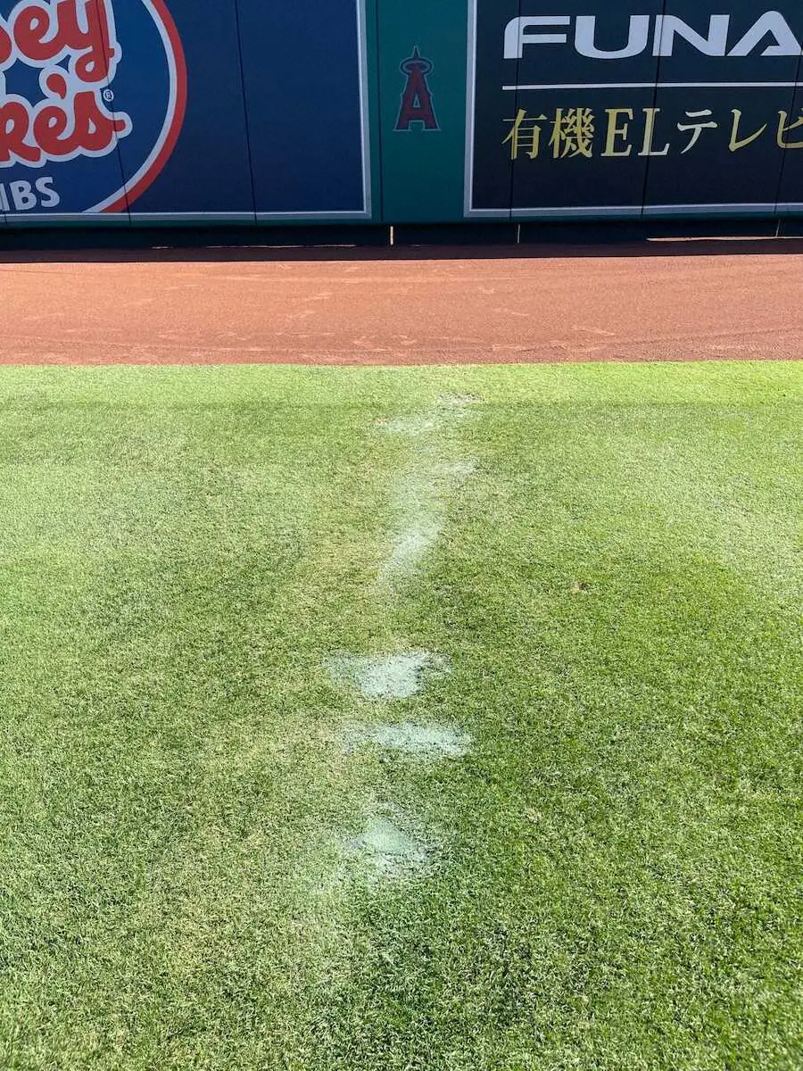【画像・写真】次に「大谷ライン」が描かれるのはエンゼルスタジアムか？　それとも…