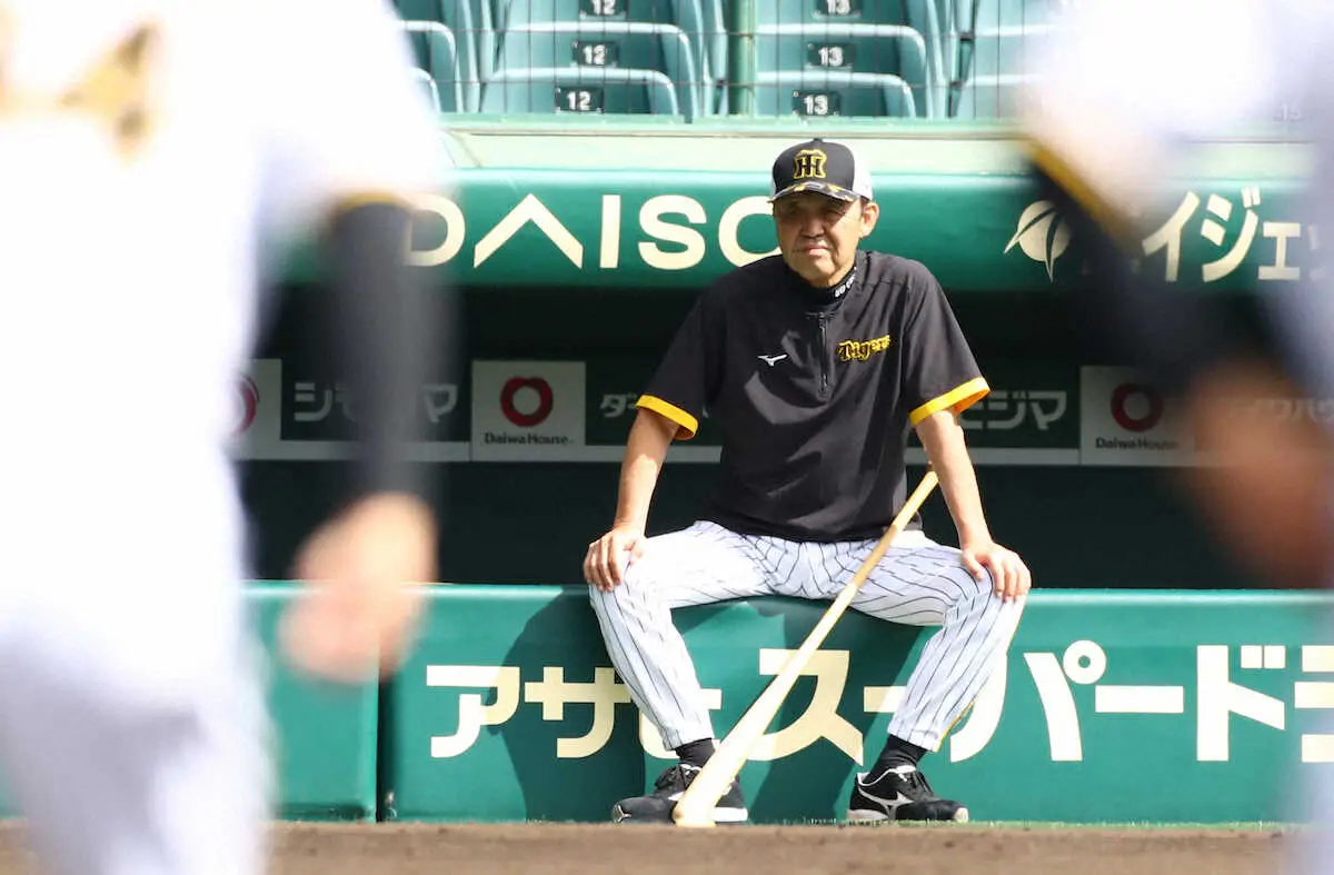 【画像・写真】阪神　パ・リーグCSファーストSからスコアラー派遣　今季の交流戦はロッテ以外の5球団に負け越し