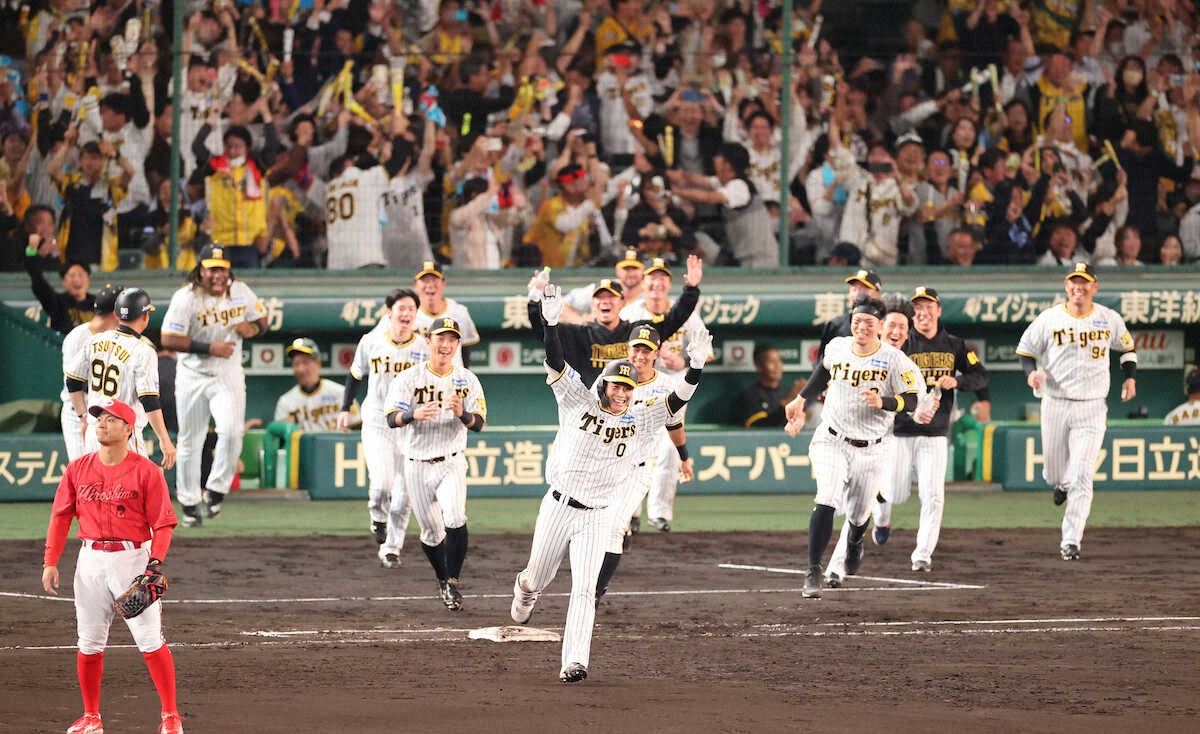 9/14土曜日 甲子園 阪神VS広島 14時開始 （阪神タイガース 阪神vs広島 
