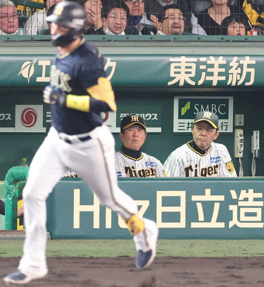 【画像・写真】阪神・岡田監督　またまたベンチで怒り　最前列まで出て…