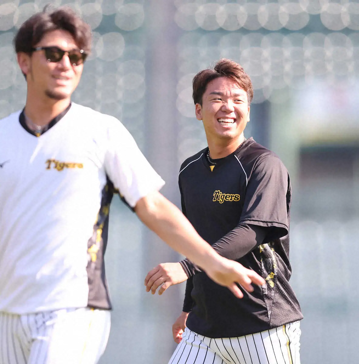 【画像・写真】いざ38年ぶり日本一へ　阪神が甲子園で投手練習　村上、青柳に加えて西勇と伊藤将も調整