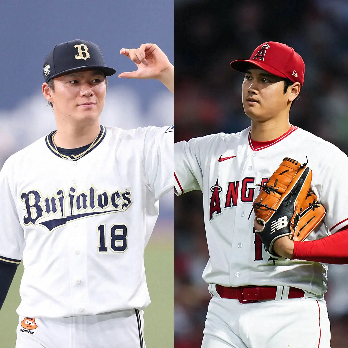 【画像・写真】大谷&由伸“日本のW至宝”が今冬争奪戦の目玉　大リーグ公式サイトで獲得候補8球団掲載