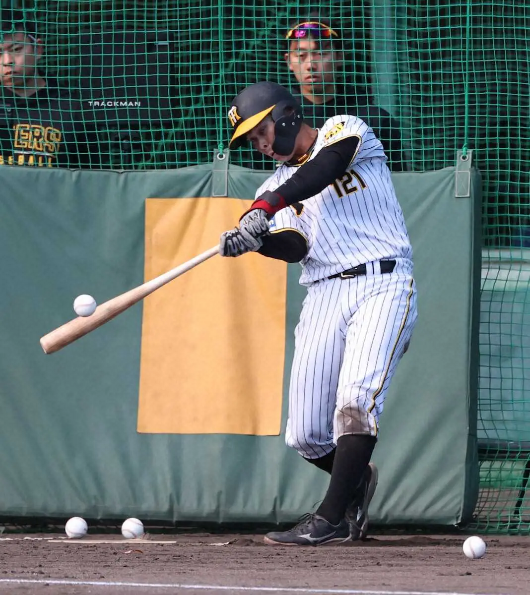 【画像・写真】阪神・秋季C　育成・野口がランチ特打で5連続含む19本の柵越え　岡田監督認める虎の秘密兵器