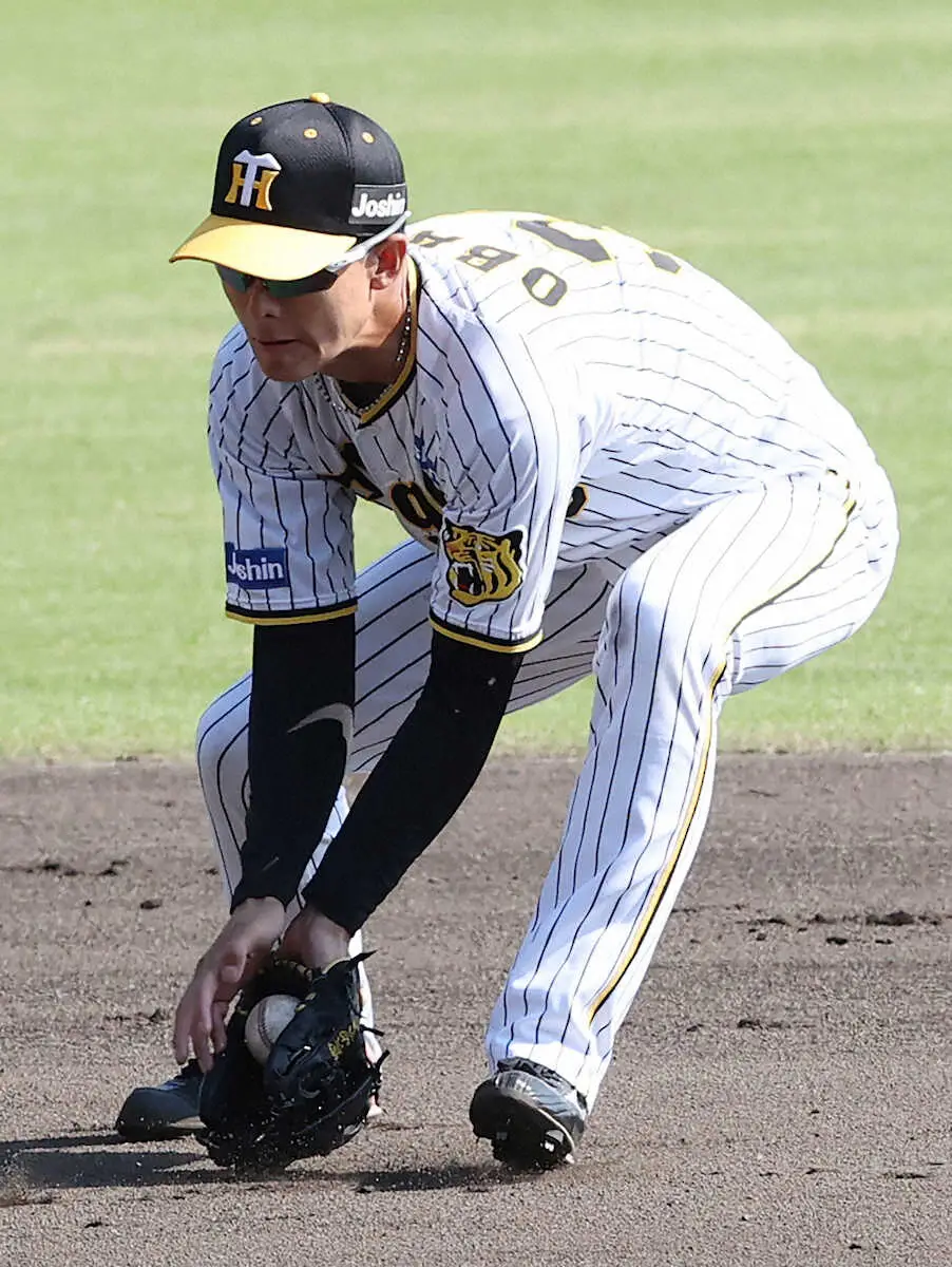 【画像・写真】【内田雅也の追球】伝統の堅守へ　藤井式の辛口採点