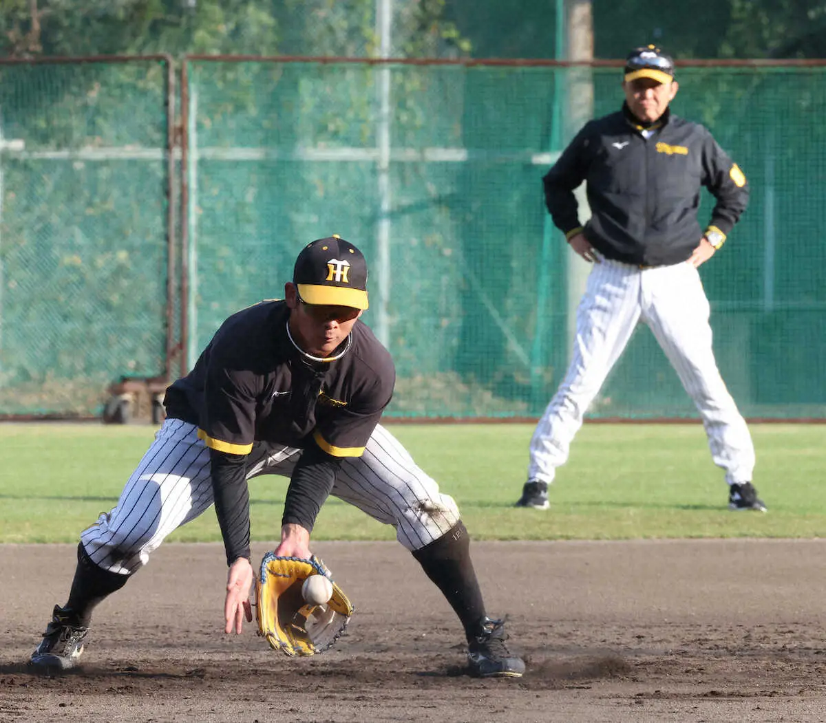 【画像・写真】14日支配下契約の阪神・野口　中学以来の三塁挑戦で100本ノックの特守…岡田監督の意図は…