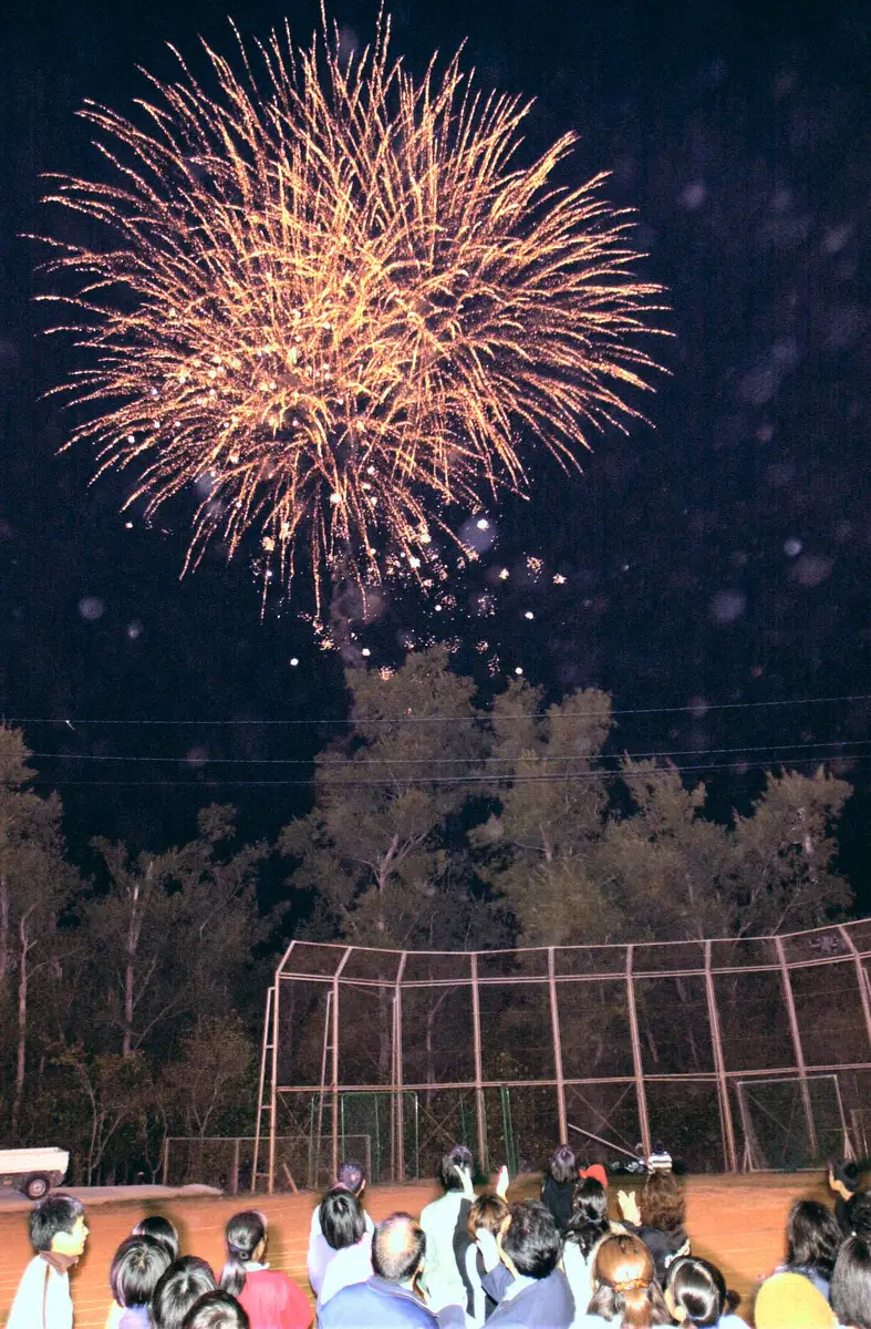 【画像・写真】01年、宜野座の21世紀枠での選抜大会選出決定を祝って打ち上げられた花火