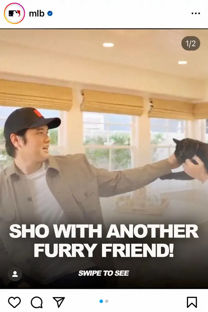 【画像・写真】大谷翔平　犬の次は猫!?インタビュー動画で侵入してきた黒猫を優しくなでなで