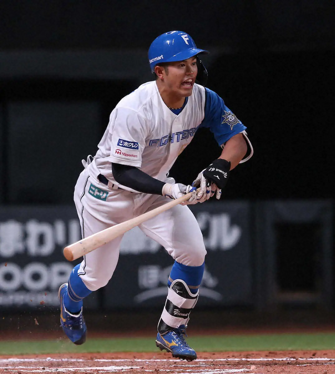 【画像・写真】日本ハム・今川が結婚　ともにファンクラブ会員の新妻と“執念”のレギュラー獲りへ