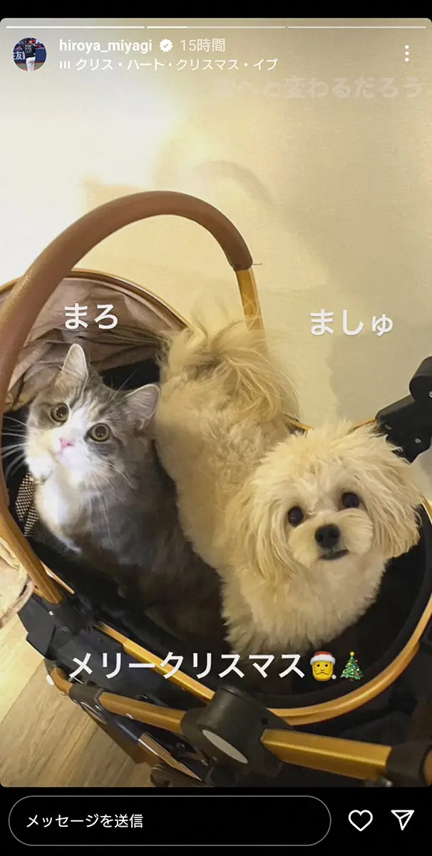 【画像・写真】宮城大弥インスタグラム（@hiroya_miyagi）から