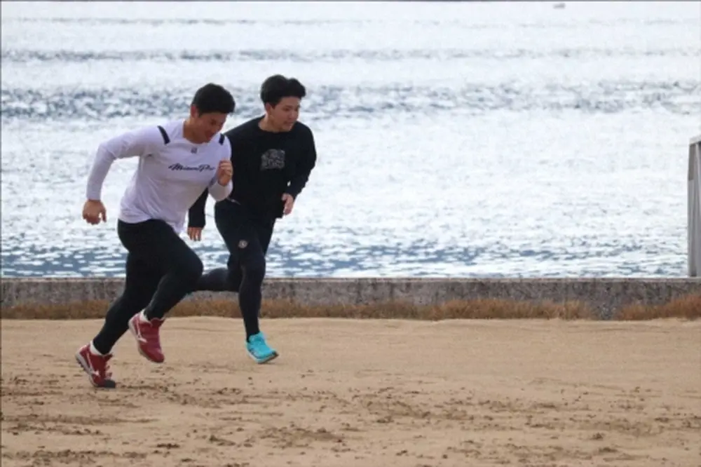 【画像・写真】広島の2軍施設「大野練習場」「大野寮」が移転へ　新施設は29年末に完成予定