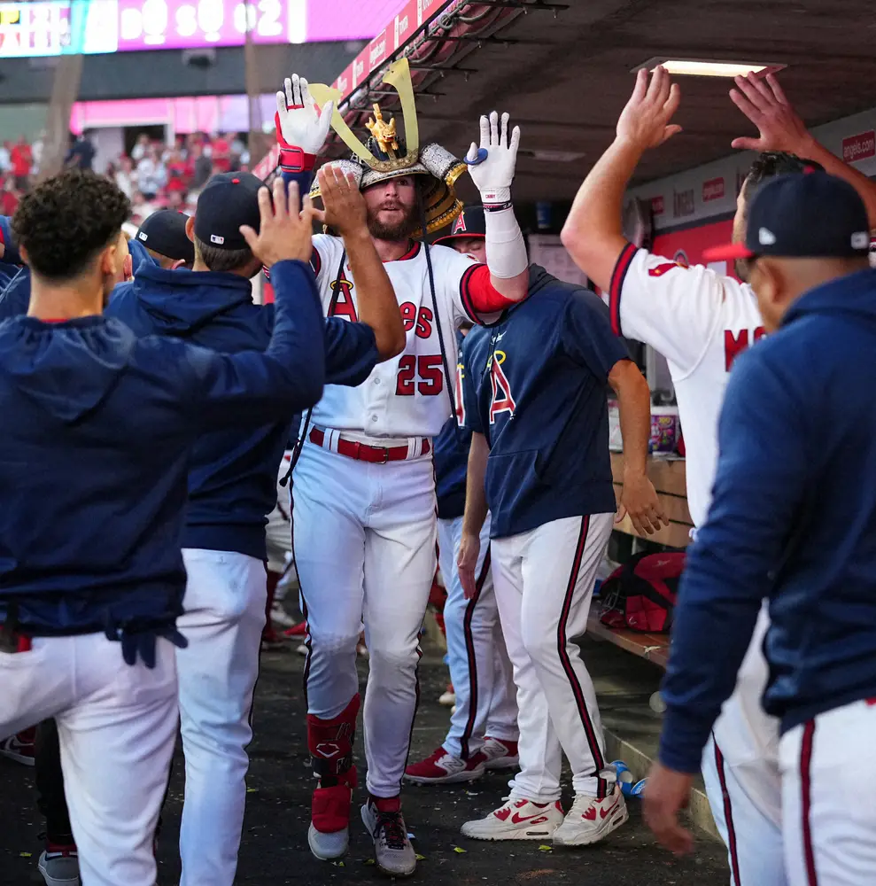 【画像・写真】ソフトバンクなど調査報道のキャベージがアストロズに移籍　昨季エンゼルスでプレーした大谷翔平の元同僚