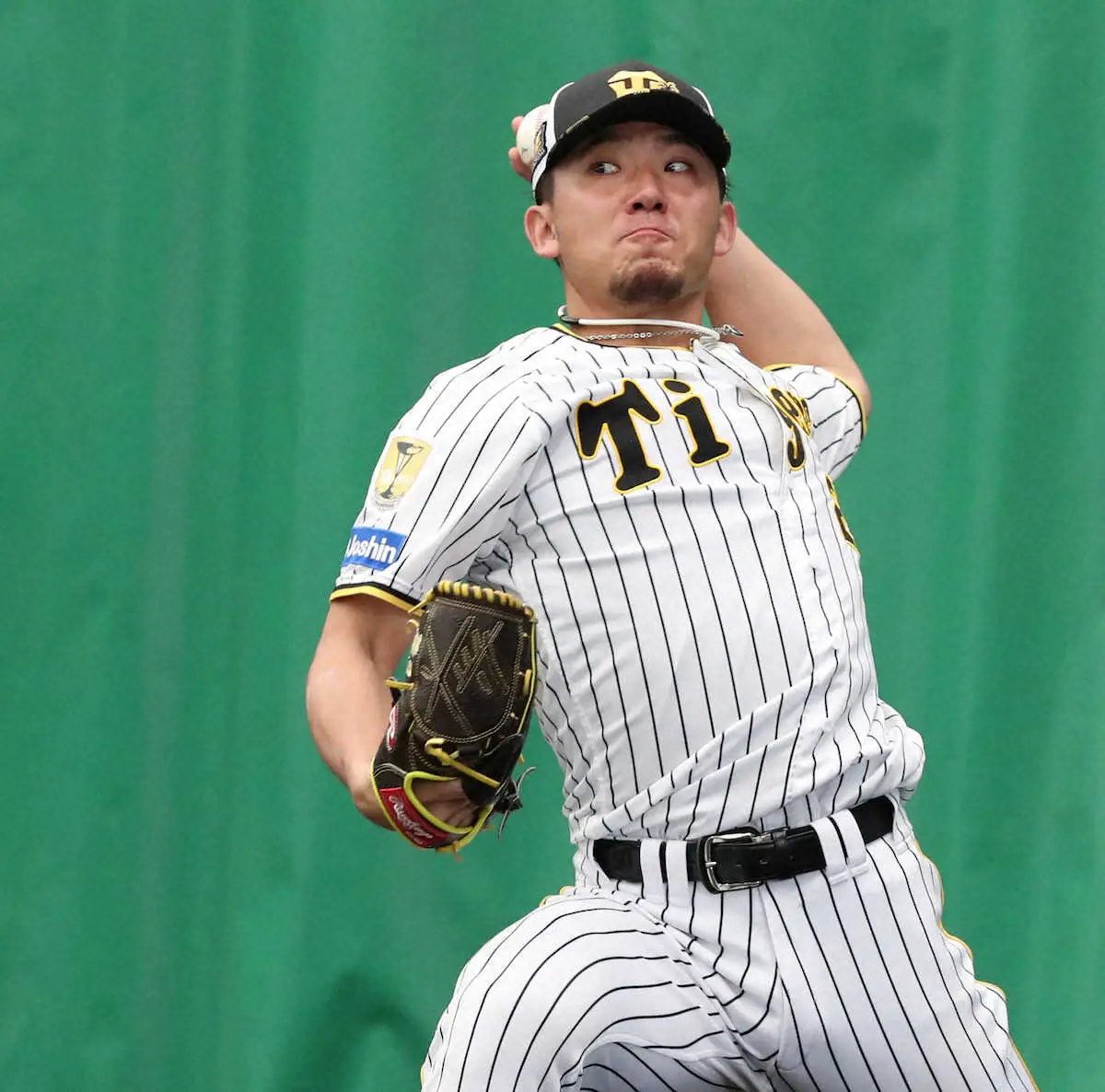 【画像・写真】阪神、開幕投手争いゴング!　青柳ブルペン一番乗り27球　伊藤将は直球のみ25球　早くもアピール合戦