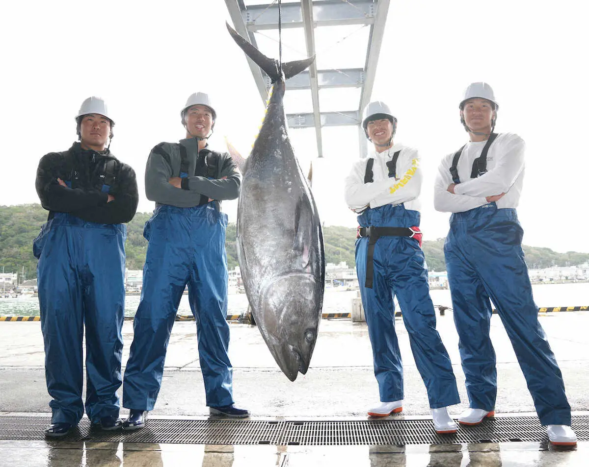 【画像・写真】DeNAドラ1・度会　26年WBC出たい!!キャンプ初の休日はマグロのエサやり体験