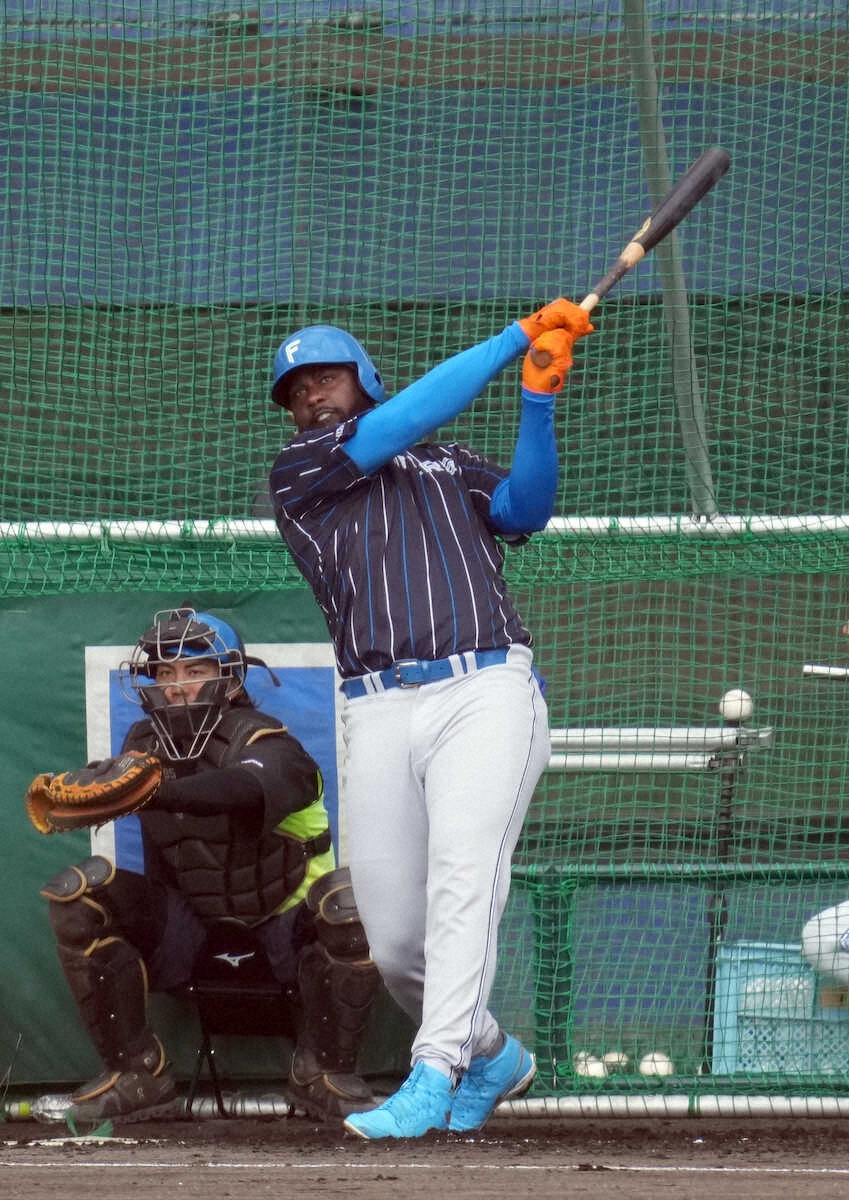 日本ハム・レイエス 大谷級スコアボード越え160メートル弾 万波絶句 