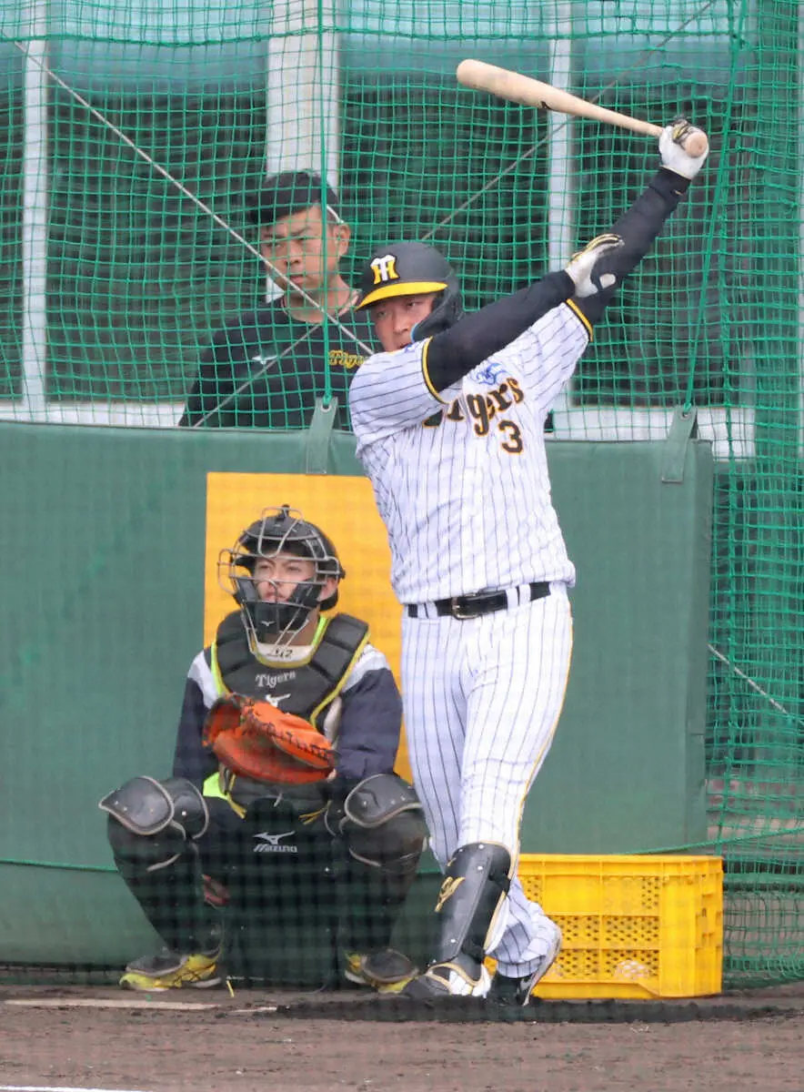 【画像・写真】阪神・大山　ランチ特打で柵越え9発　バットもコメントも熱い「勝つことしか得られない経験をしたので…」