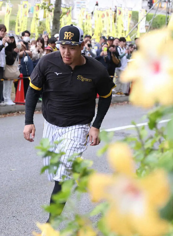 【画像・写真】宜野座で“珍”現象!?　阪神・岡田監督が佐藤輝に苦言ゼロ、むしろ「順調と違うんかな」高評価