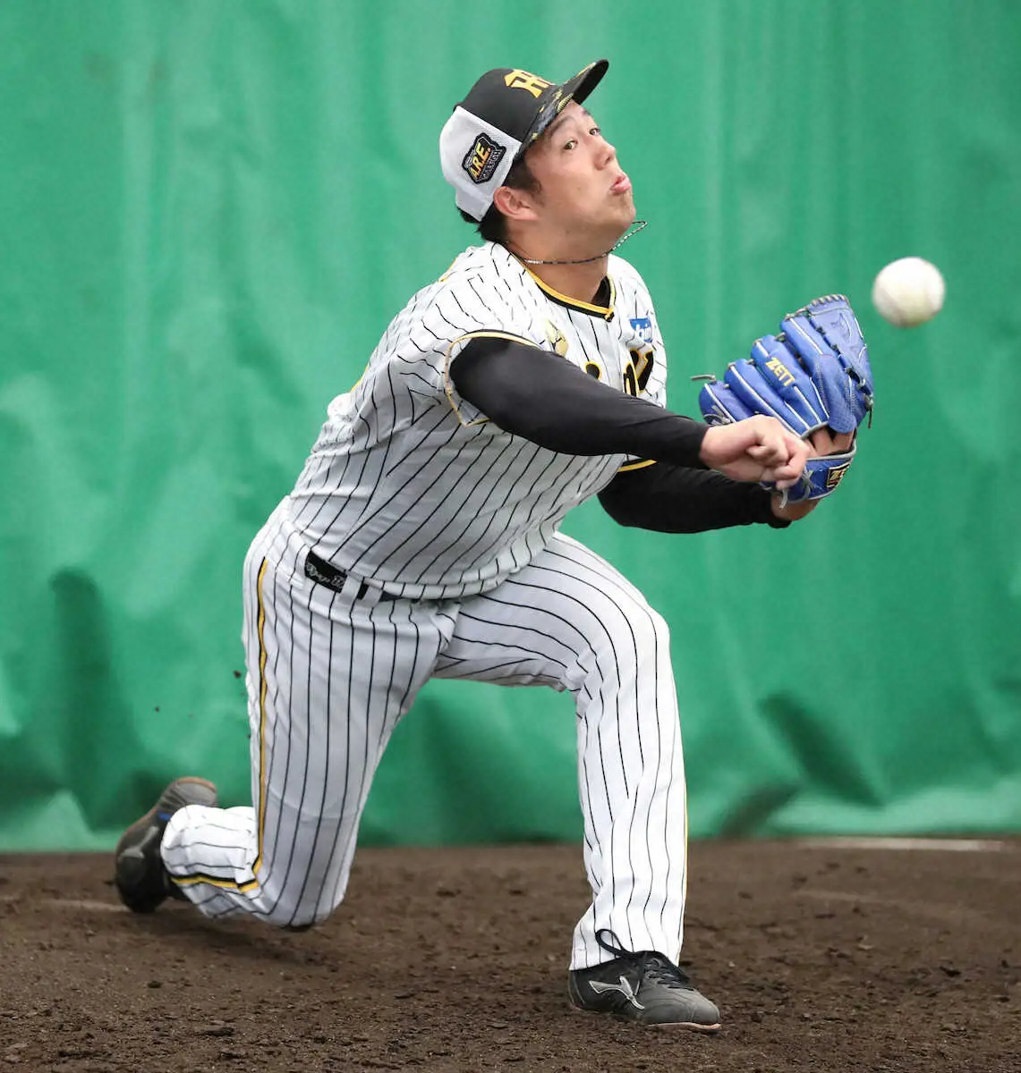 【画像・写真】【阪神・青柳インタビュー（1）】右腕が目指す「鉄のエース」　能見篤史氏からポーカーフェイスの極意学ぶ