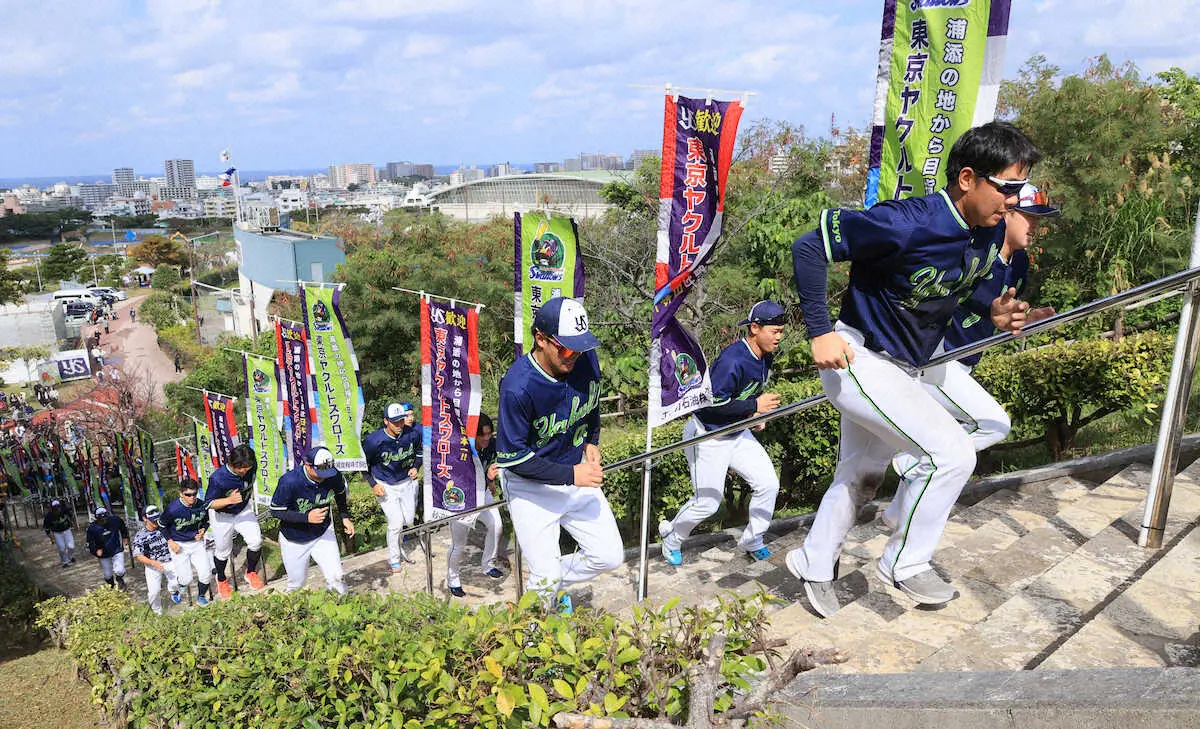 【画像・写真】ヤクルトが“地獄の階段ダッシュ”で下半身を徹底的に強化　キャプテンの山田は「キツい、思った以上に」