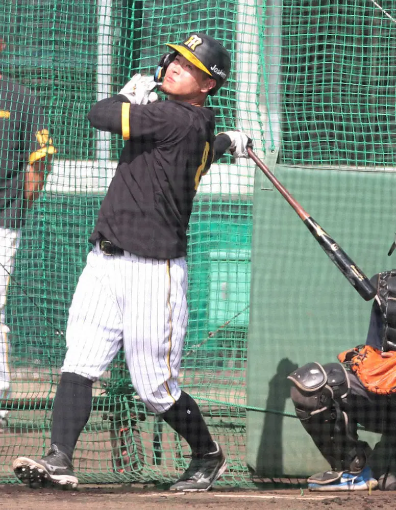 【画像・写真】佐藤輝VS森下の1番打者対決　阪神の紅白戦スタメン