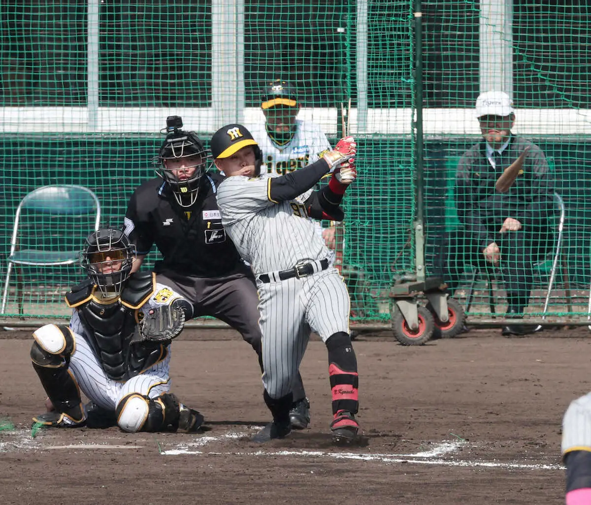 【画像・写真】阪神　売り出し中の2年目野口が3回にタイムリー　3番スタメン出場で存在感