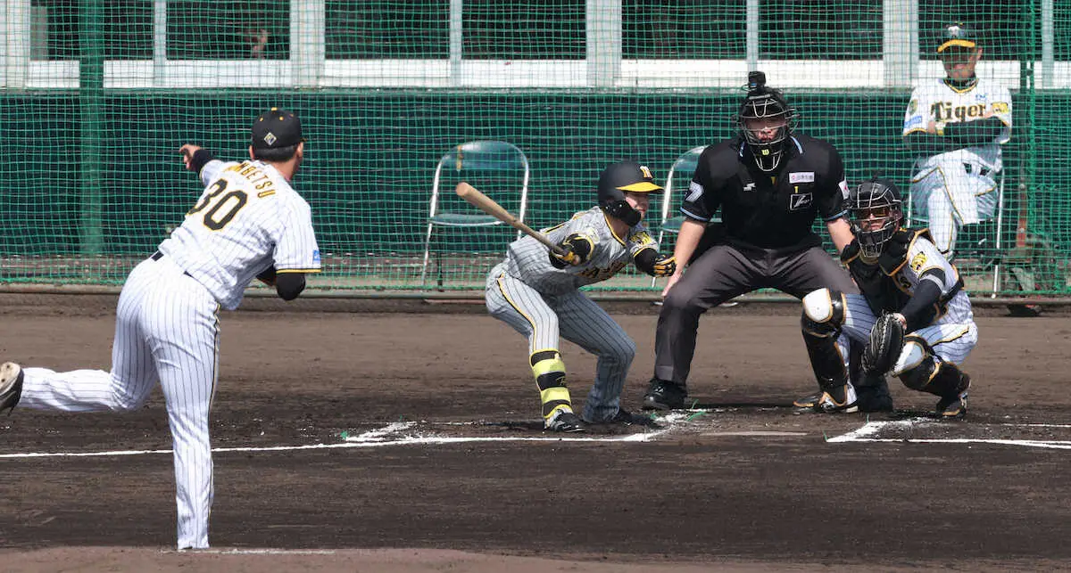 【画像・写真】阪神・門別　開幕ローテ入りへ好発進　自慢の直球で佐藤輝のバットへし折った「まだまだ6割」