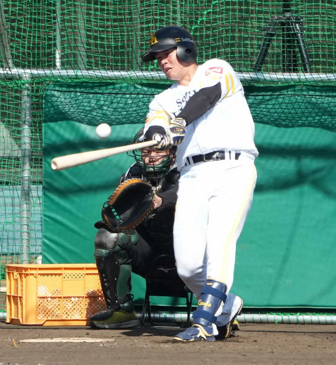 【画像・写真】【筑後鷹】吉田賢吾　長打力が魅力の2年目捕手　黒子役もいとわず「とにかく1軍で打つ」