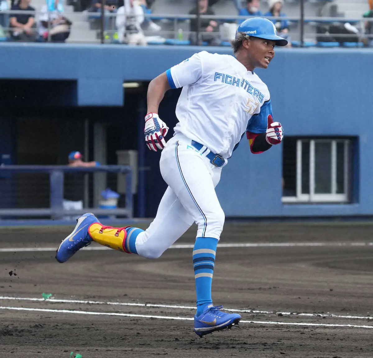 【画像・写真】日本ハム・水谷　15日から1軍キャンプ合流へ　実戦で1本塁打を含む6安打2打点と猛アピール