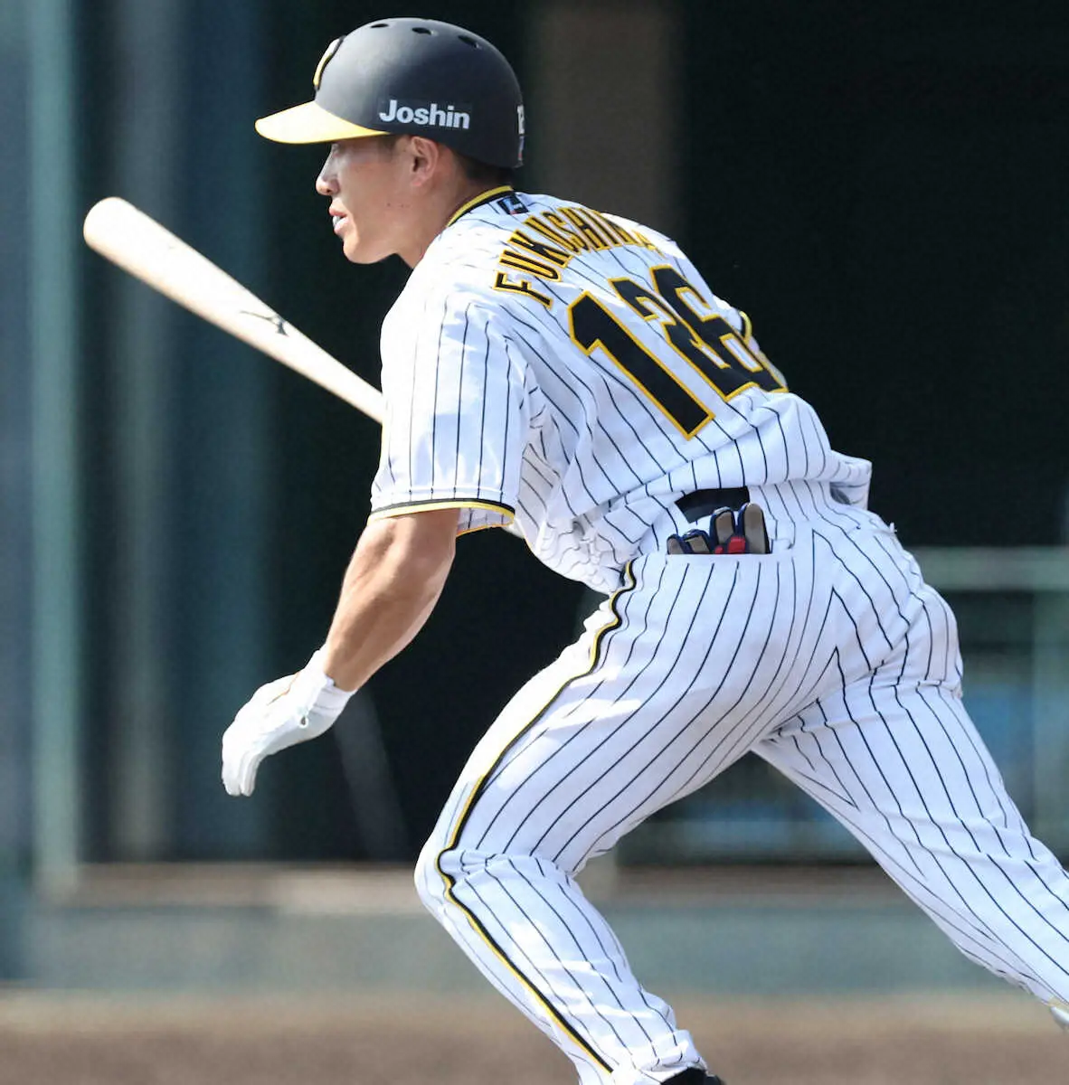 【画像・写真】阪神・岡田監督、育成の川原&福島を1軍抜てき!支配下復帰目指す川原は気合「今が一番チャンスだと思う」