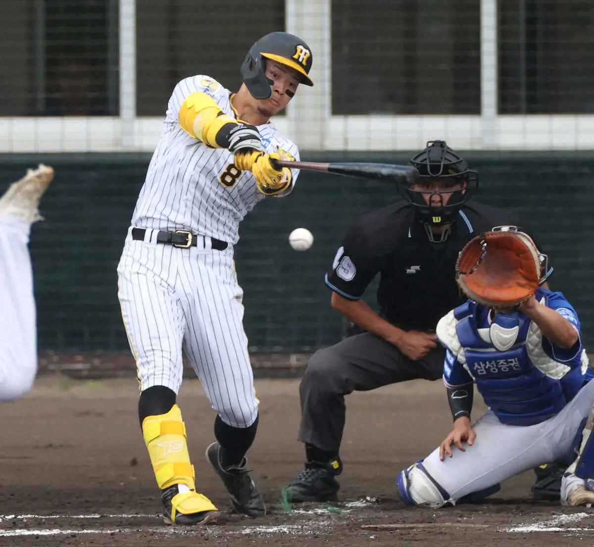 【画像・写真】阪神・佐藤輝　春の珍事！？実戦13打席いまだ三振ゼロ　課題の三塁守備も失策ゼロ継続