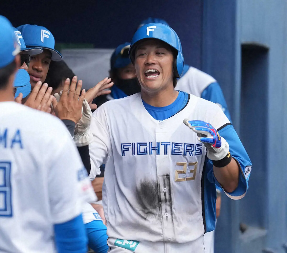 【画像・写真】日本ハム・伏見　山崎と2年ぶり「さちとら」バッテリーで2回完全＆先制口火も！