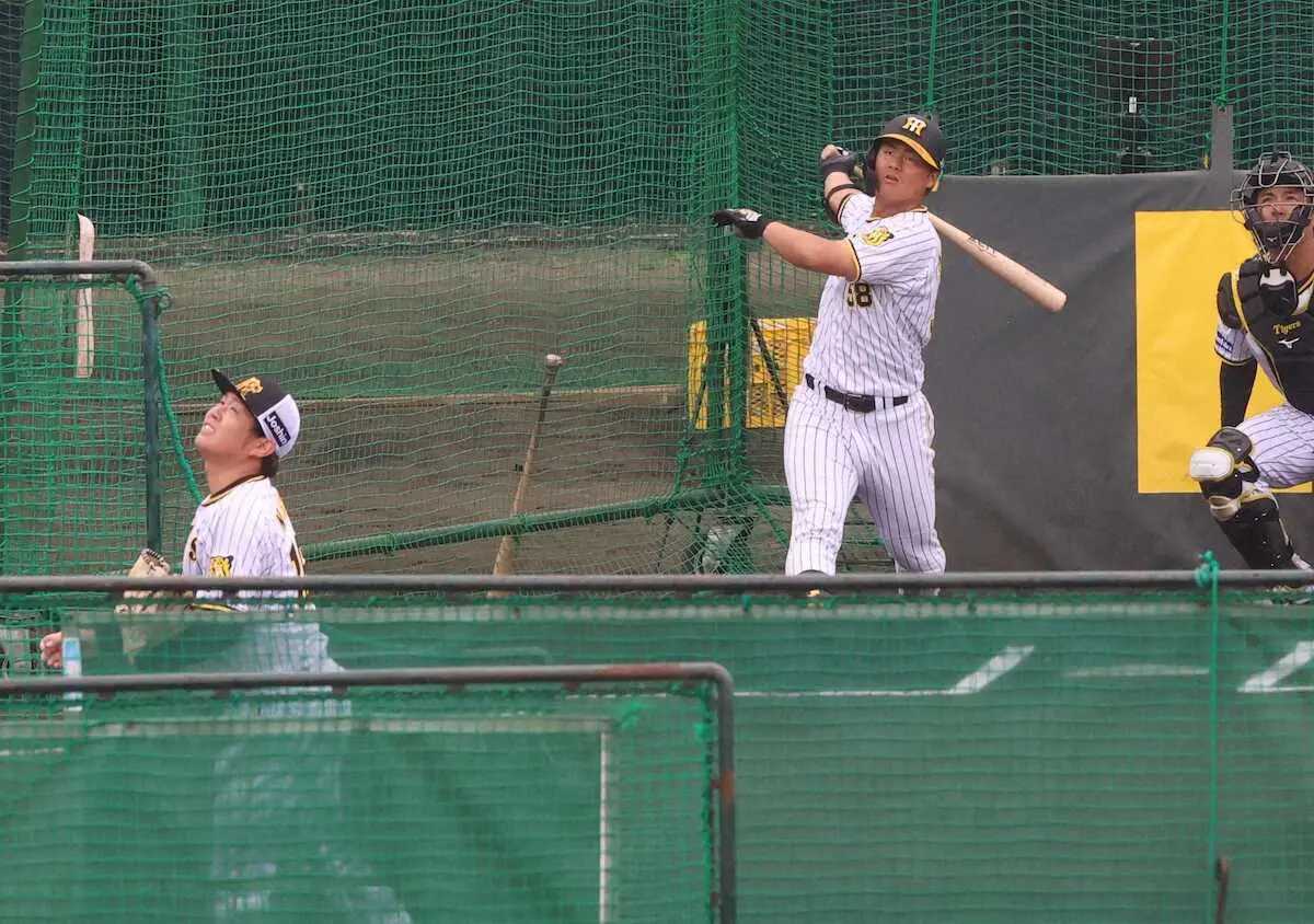 【画像・写真】阪神キャンプ打ち上げ前日の宜野座で前川、森下が西勇、岩崎と対戦しアーチ競演