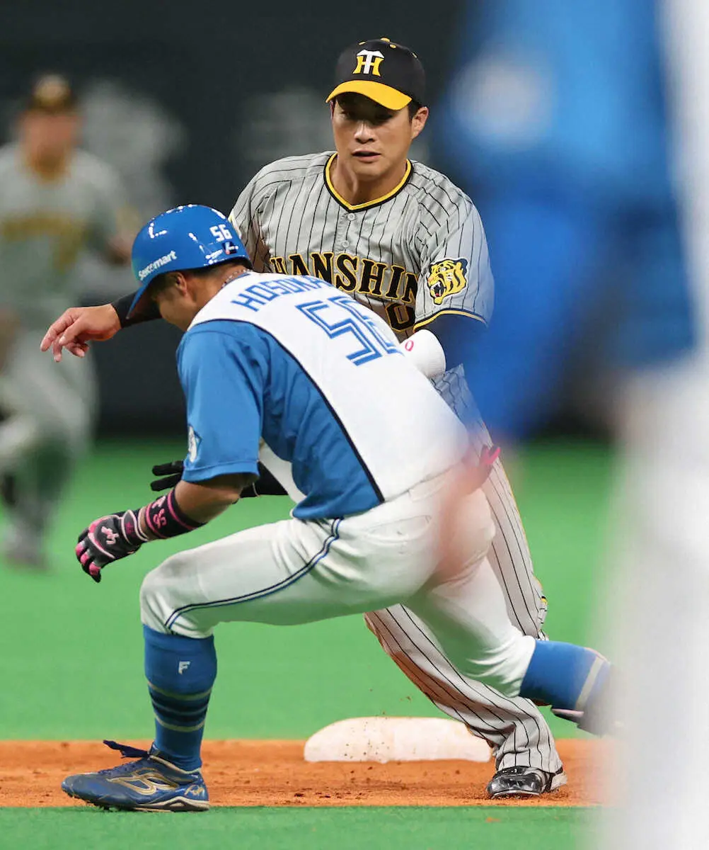 【画像・写真】【内田雅也の追球】当たり前のプレーを普通にできる強み　2度の挟殺に岡田監督の目指す野球がある