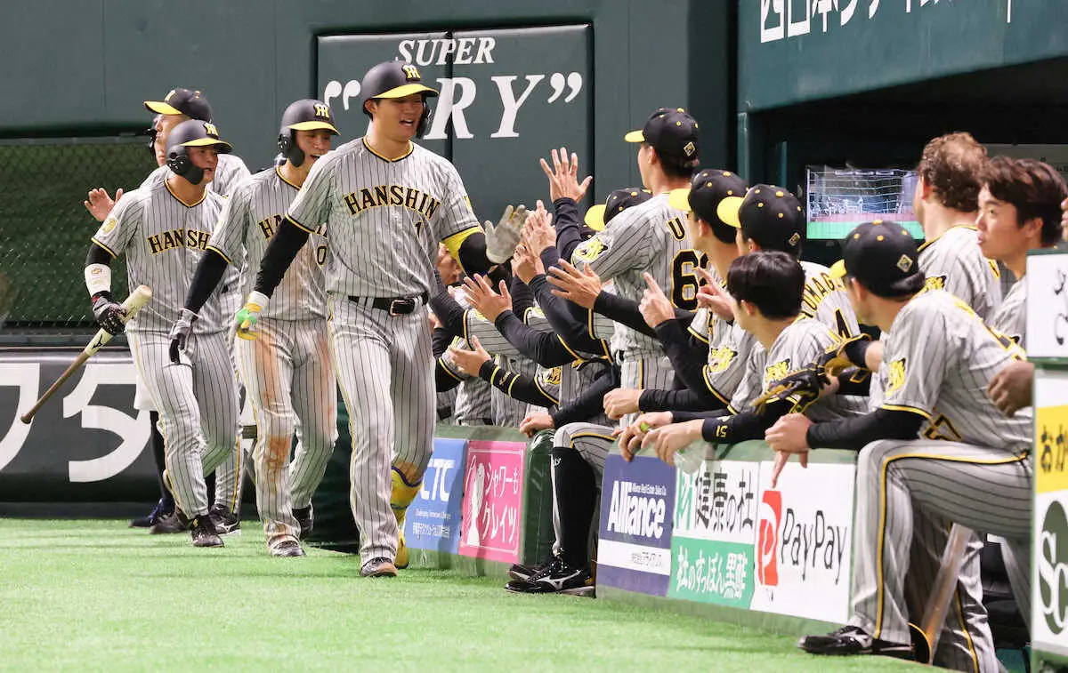 【画像・写真】阪神に春一番　今春オープン戦チーム最多16安打10得点　平田ヘッド「ようやく粘れるように」