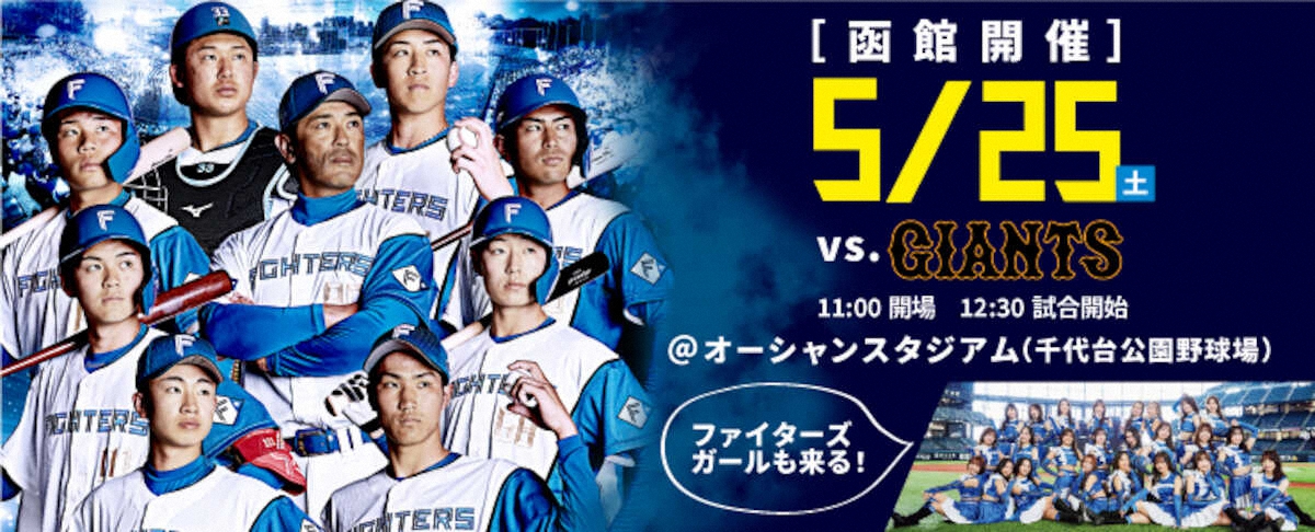 神宮球場 SS指定席 ネット裏 ヤクルトvs日本ハム - 野球