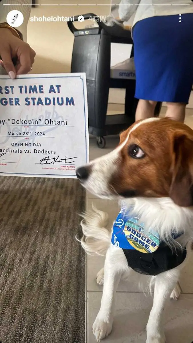 【画像・写真】ドジャース・大谷の真美子夫人＆デコピンがドジャースタジアムのスイートルームで観戦