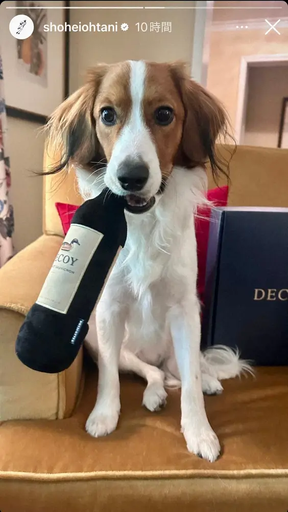 【画像・写真】大谷翔平のインスタグラム（＠shoheiohtani）から